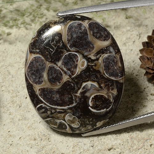 28.37ct 天然 彩色 碧玉, 椭圆形, 不透明