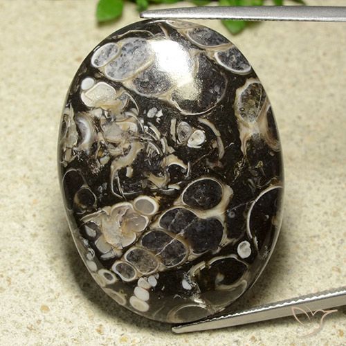43.81ct 天然 彩色 碧玉, 椭圆形, 不透明