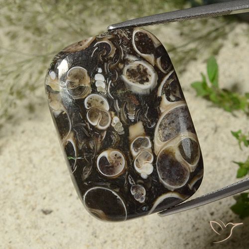 34.23ct 天然 彩色 碧玉, 软垫, 不透明