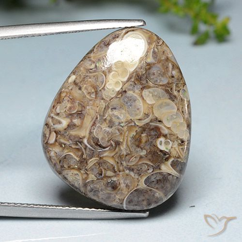 20.52ct 天然 彩色 碧玉, 花式切割, 不透明