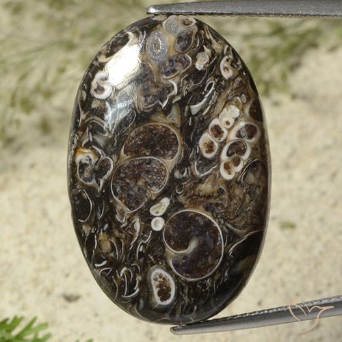 28.41ct 天然 彩色 碧玉, 椭圆形, 不透明