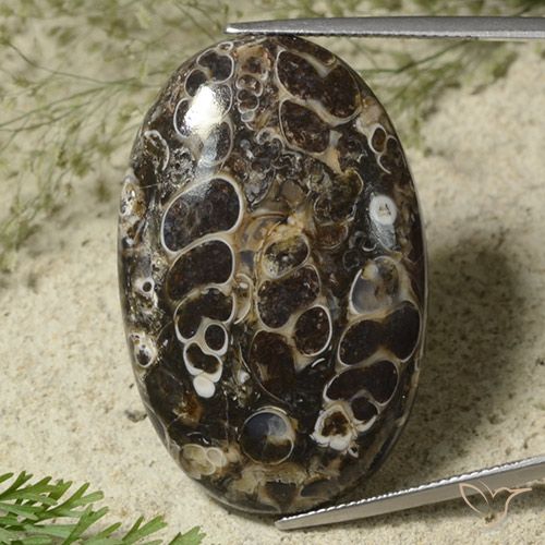 44.95ct 天然 彩色 碧玉, 椭圆形, 不透明