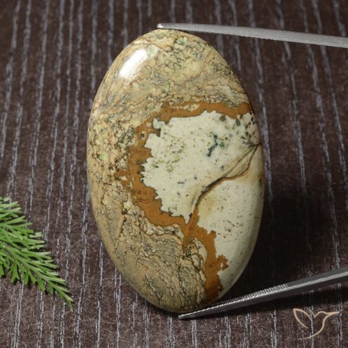 73.63ct 天然 彩色 碧玉, 椭圆形, 不透明
