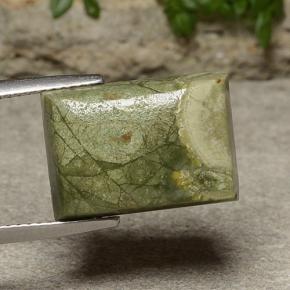 9.00克拉天然多色碧玉，长方形切工，16.1×11.3毫米，不透明
