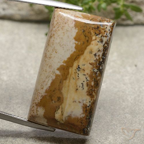 26.55ct 天然 彩色 碧玉, 狭长方形, 不透明