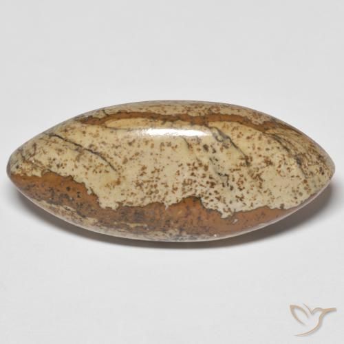 29.48ct 天然 彩色 碧玉, 榄尖形, 不透明