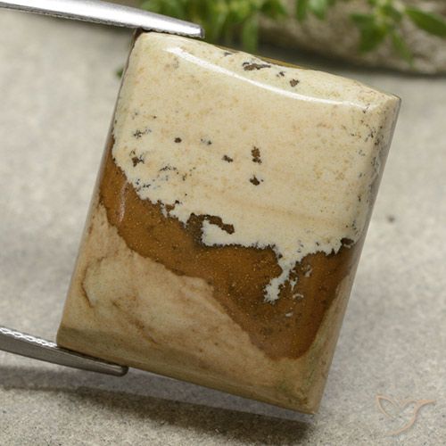 29.59ct 天然 彩色 碧玉, 狭长方形, 不透明