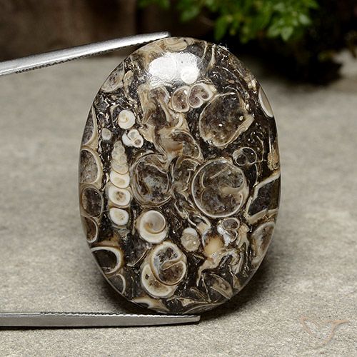 39.98ct 天然 彩色 碧玉, 椭圆形, 不透明