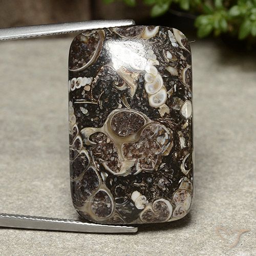 32.91ct 天然 彩色 碧玉, 软垫, 不透明