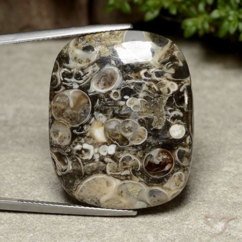 38.76ct 天然 彩色 碧玉, 软垫, 不透明