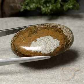 40.46克拉天然碧玉，椭圆形，不透明