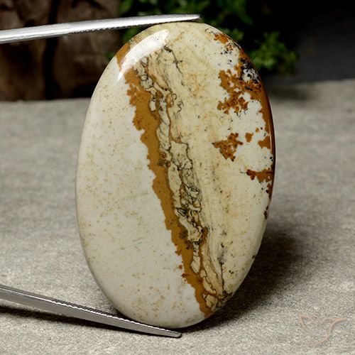 48.47ct 天然 彩色 碧玉, 椭圆形, 不透明