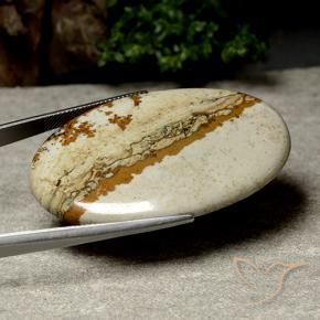 48.47克拉天然碧玉，椭圆形，不透明