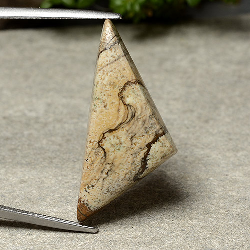 15.95克拉天然多色碧玉，三角形，31×13.9毫米，不透明