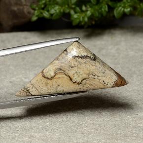 15.95克拉天然多色碧玉，三角形，31×13.9毫米，不透明