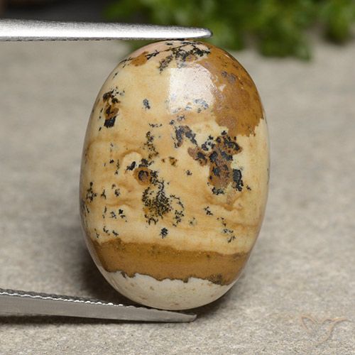 14.50ct 天然 彩色 碧玉, 椭圆形, 不透明