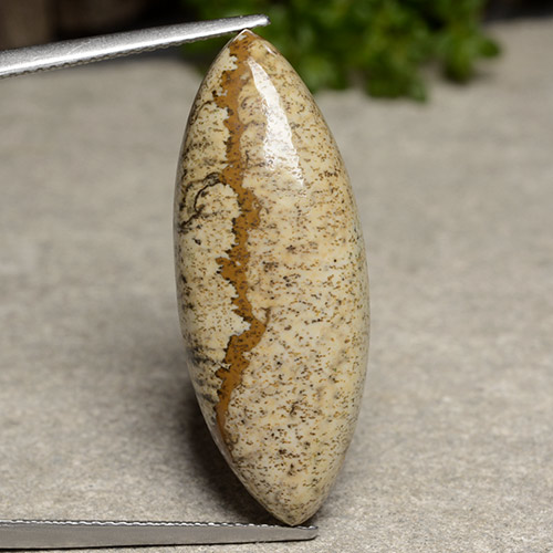 17.23克拉天然多色碧玉，马眼形，31.7×12.3毫米，不透明