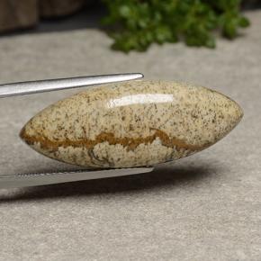 17.23克拉天然多色碧玉，马眼形，31.7×12.3毫米，不透明