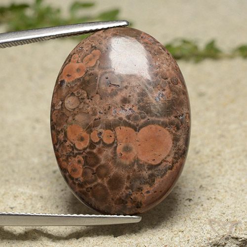 19.34ct 天然 彩色 碧玉, 椭圆形, 不透明
