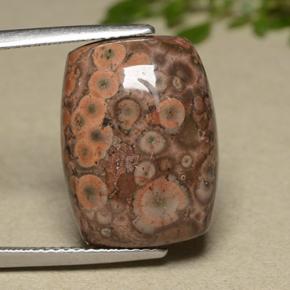 11.81克拉天然多色碧玉，垫形剪裁，18.4×13.5毫米，不透明