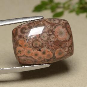 11.81克拉天然多色碧玉，垫形剪裁，18.4×13.5毫米，不透明