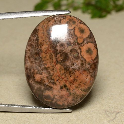 22.97ct 天然 彩色 碧玉, 椭圆形, 不透明