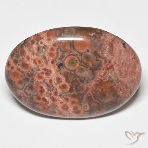25.58ct 天然 彩色 碧玉, 椭圆形, 不透明