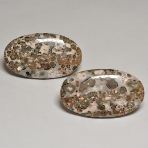 24.09克拉天然碧玉，椭圆形切割，不透明