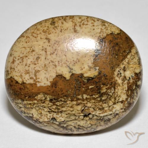 32.88ct 天然 彩色 碧玉, 椭圆形, 不透明