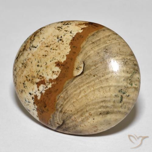 26.64ct 天然 彩色 碧玉, 椭圆形, 不透明