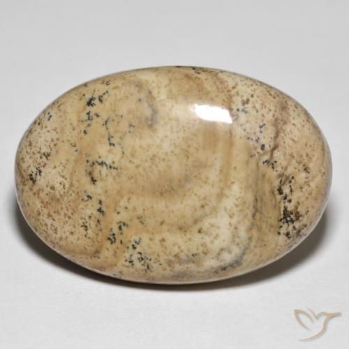 31.50ct 天然 彩色 碧玉, 椭圆形, 不透明