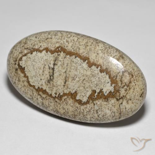 50.64ct 天然 彩色 碧玉, 椭圆形, 不透明
