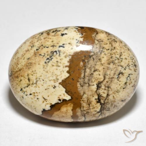 24.19ct 天然 彩色 碧玉, 椭圆形, 不透明