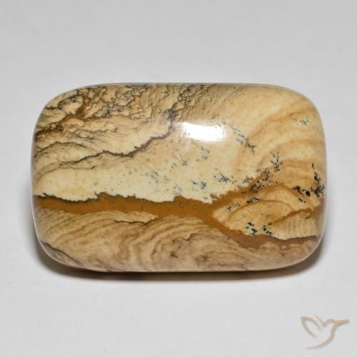62.57ct 天然 彩色 碧玉, 软垫, 不透明