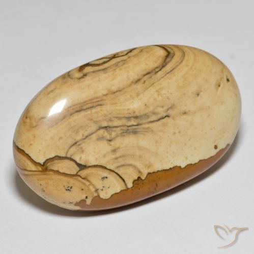 55.34ct 天然 彩色 碧玉, 椭圆形, 不透明