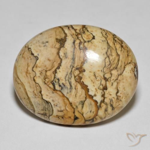 25.04ct 天然 彩色 碧玉, 椭圆形, 不透明