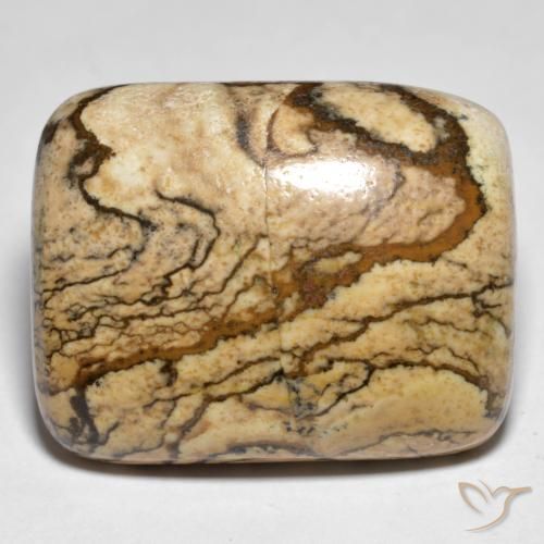 32.92ct 天然 彩色 碧玉, 软垫, 不透明