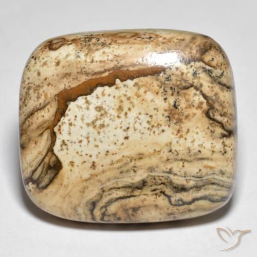 31.61ct 天然 彩色 碧玉, 软垫, 不透明