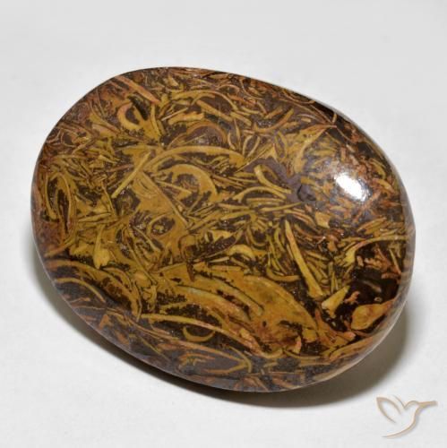 62.43ct 天然 彩色 碧玉, 椭圆形, 不透明