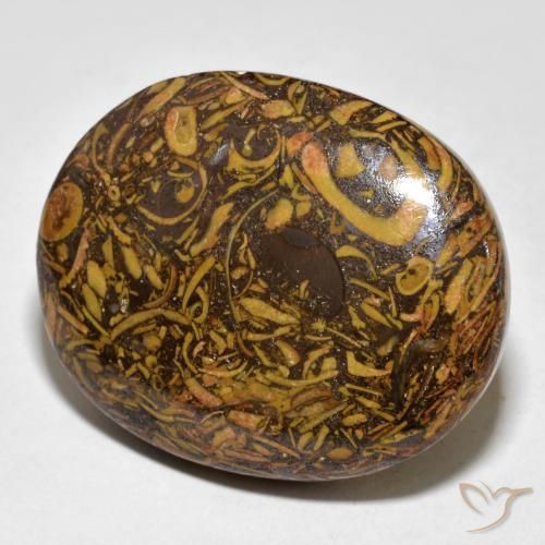 61.03ct 天然 姜饼布朗 碧玉, 椭圆形, 不透明