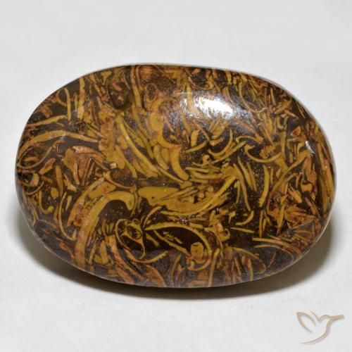 59.94ct 天然 金棕色 碧玉, 椭圆形, 不透明