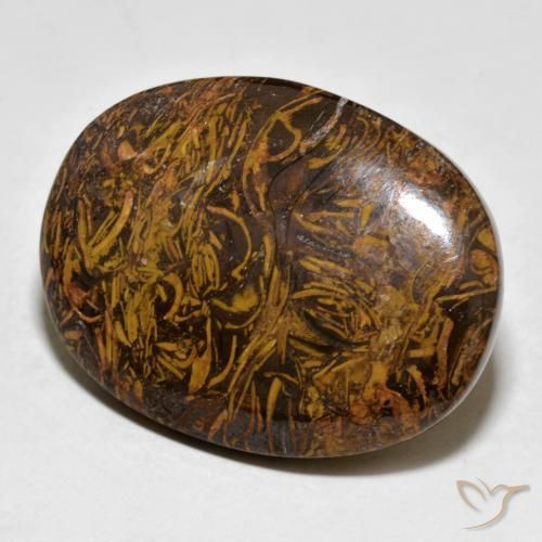 63.72ct 天然 金棕色 碧玉, 椭圆形, 不透明