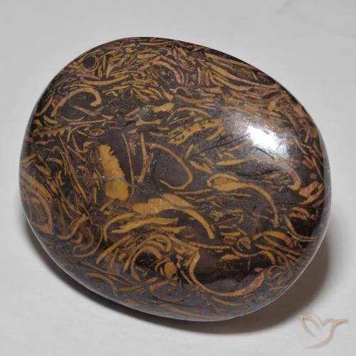 81.97ct 天然 彩色 碧玉, 椭圆形, 不透明