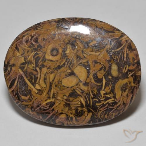 58.13ct 天然 彩色 碧玉, 椭圆形, 不透明