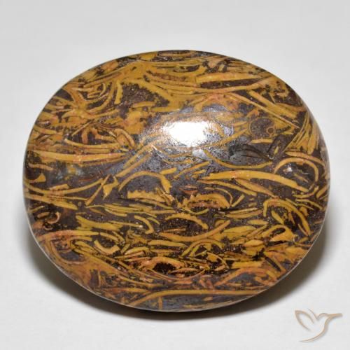 46.21ct 天然 彩色 碧玉, 椭圆形, 不透明
