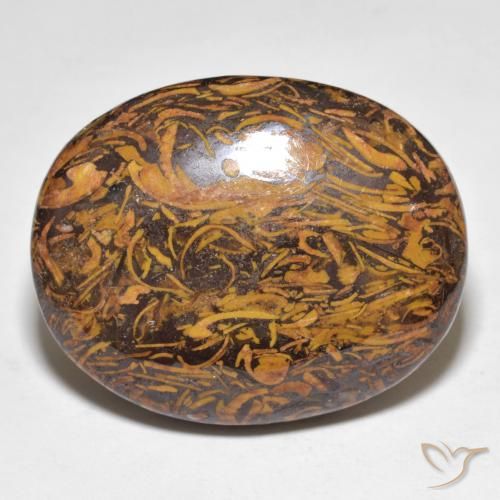 48.67ct 天然 彩色 碧玉, 椭圆形, 不透明