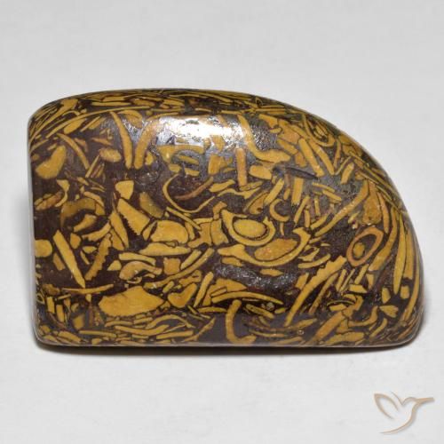 39.25ct 天然 彩色 碧玉, 花式切割, 不透明