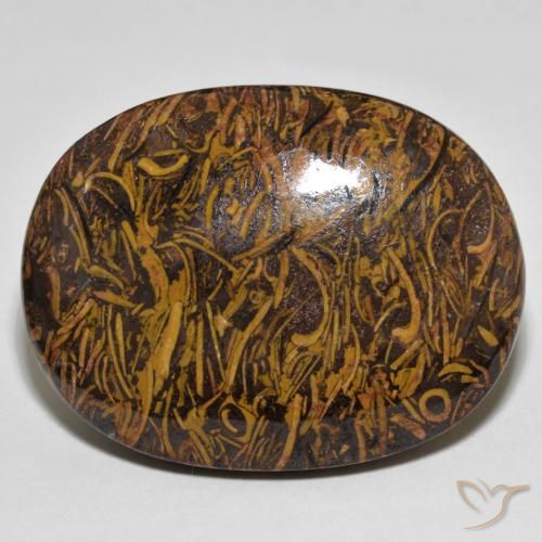60.90ct 天然 彩色 碧玉, 椭圆形, 不透明