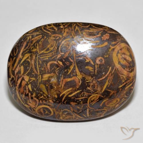 61.30ct 天然 彩色 碧玉, 椭圆形, 不透明