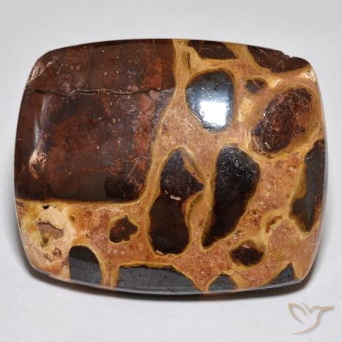 21.09ct 天然 彩色 碧玉, 软垫, 不透明